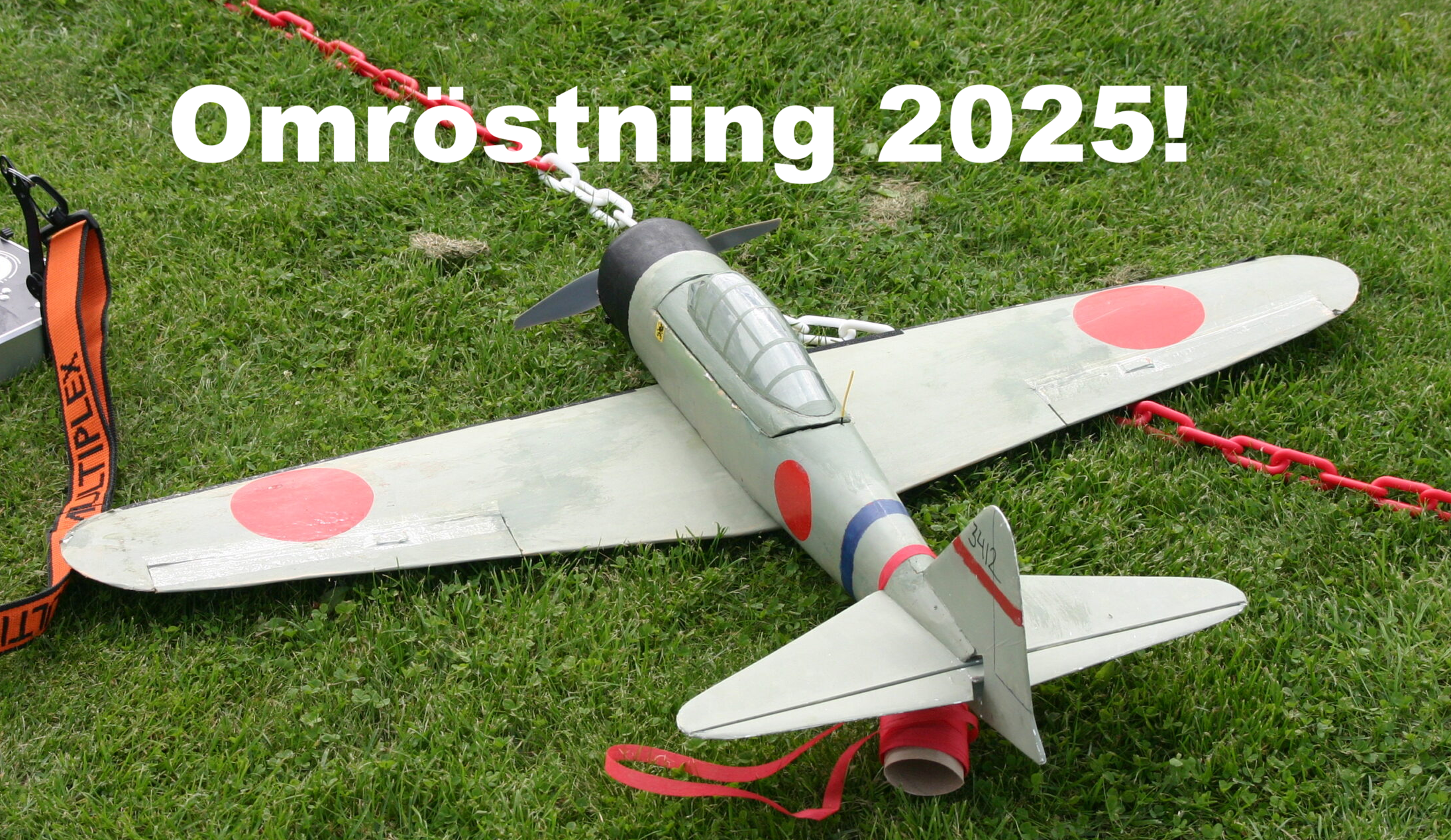 Internationell och nationell omröstning 2025